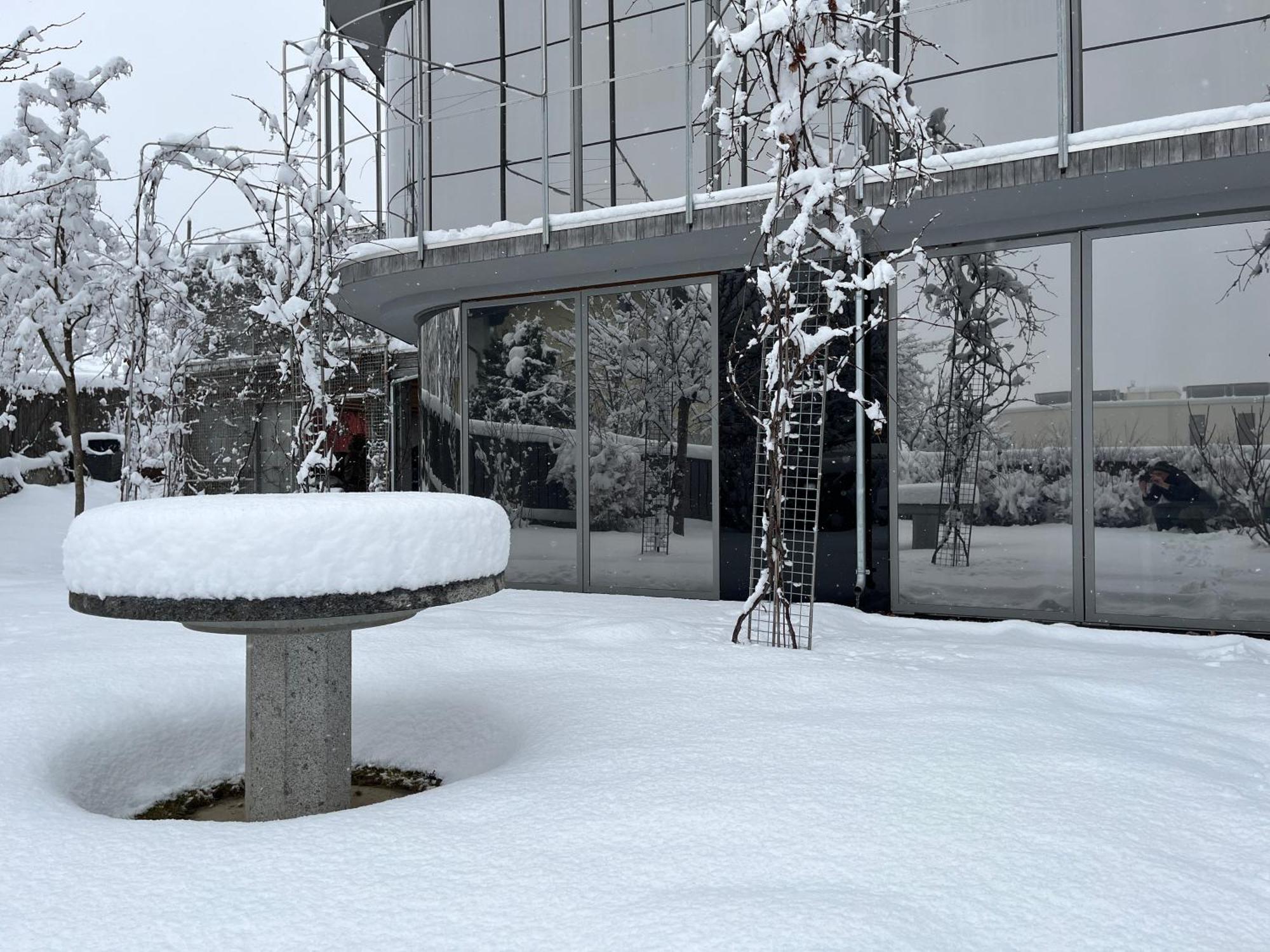 Holidayhome Omyxl Innsbruck Luaran gambar